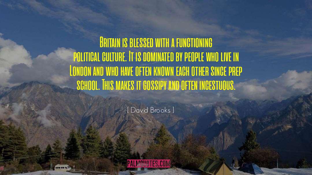 Political Culture quotes by David Brooks