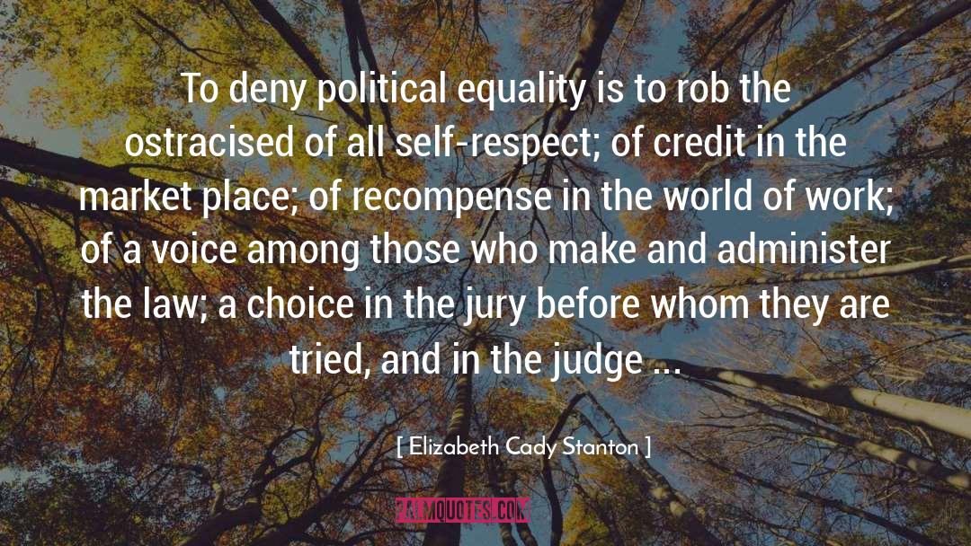 Political Equality quotes by Elizabeth Cady Stanton