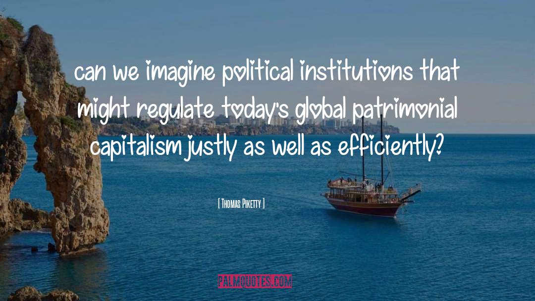 Political Institutions quotes by Thomas Piketty