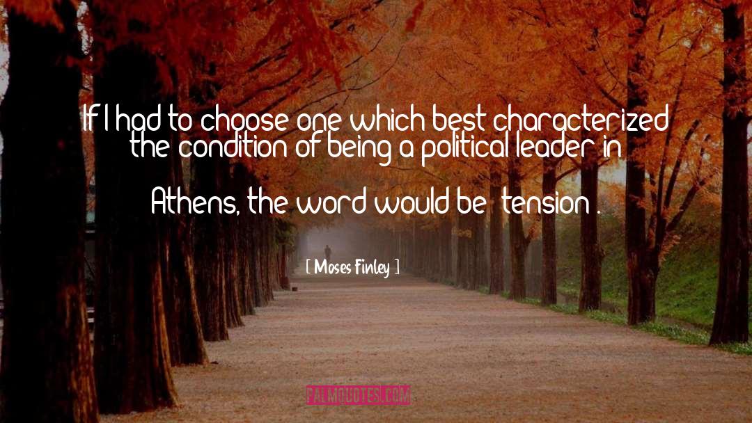 Political Leader quotes by Moses Finley