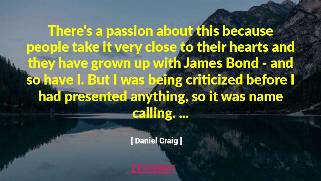Political Name Calling quotes by Daniel Craig
