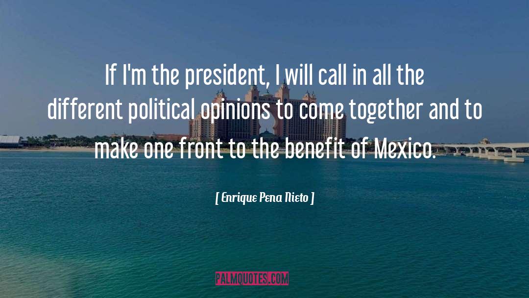 Political Opinions quotes by Enrique Pena Nieto