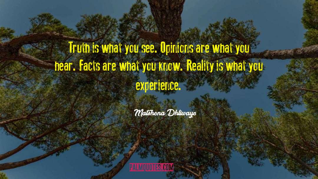 Political Opinions quotes by Matshona Dhliwayo