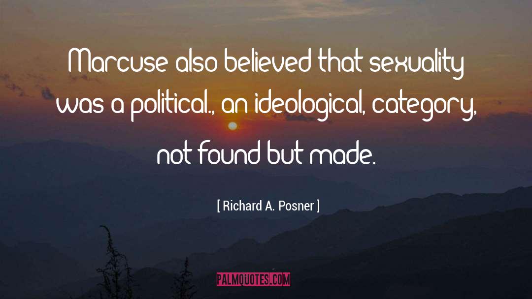 Political Participation quotes by Richard A. Posner
