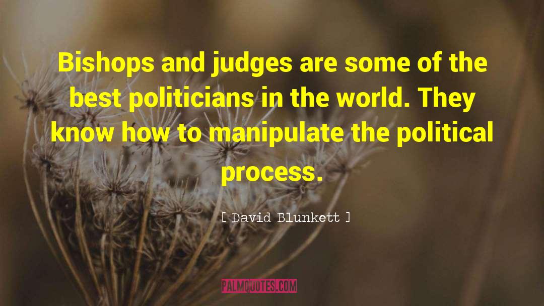 Political Process quotes by David Blunkett