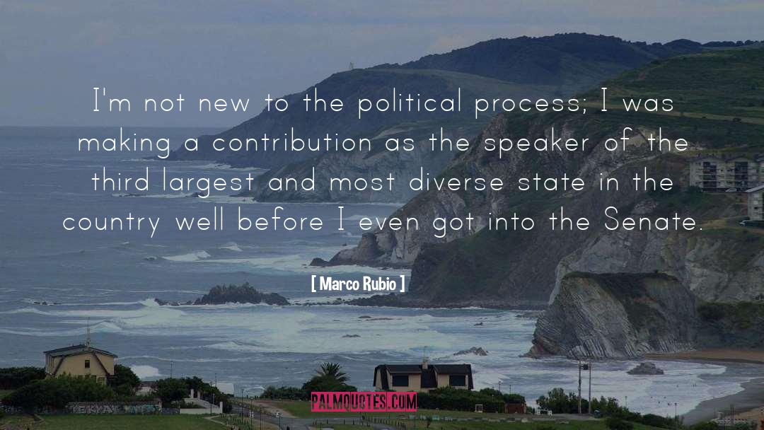 Political Process quotes by Marco Rubio