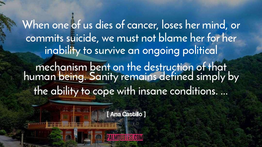 Political Reformer quotes by Ana Castillo
