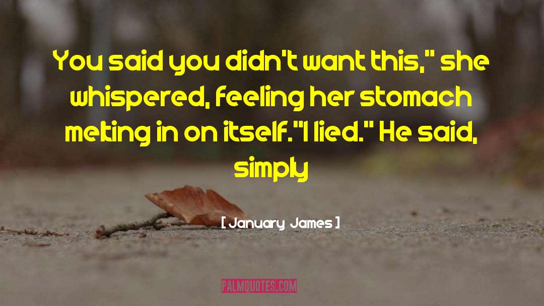 Political Romance quotes by January  James