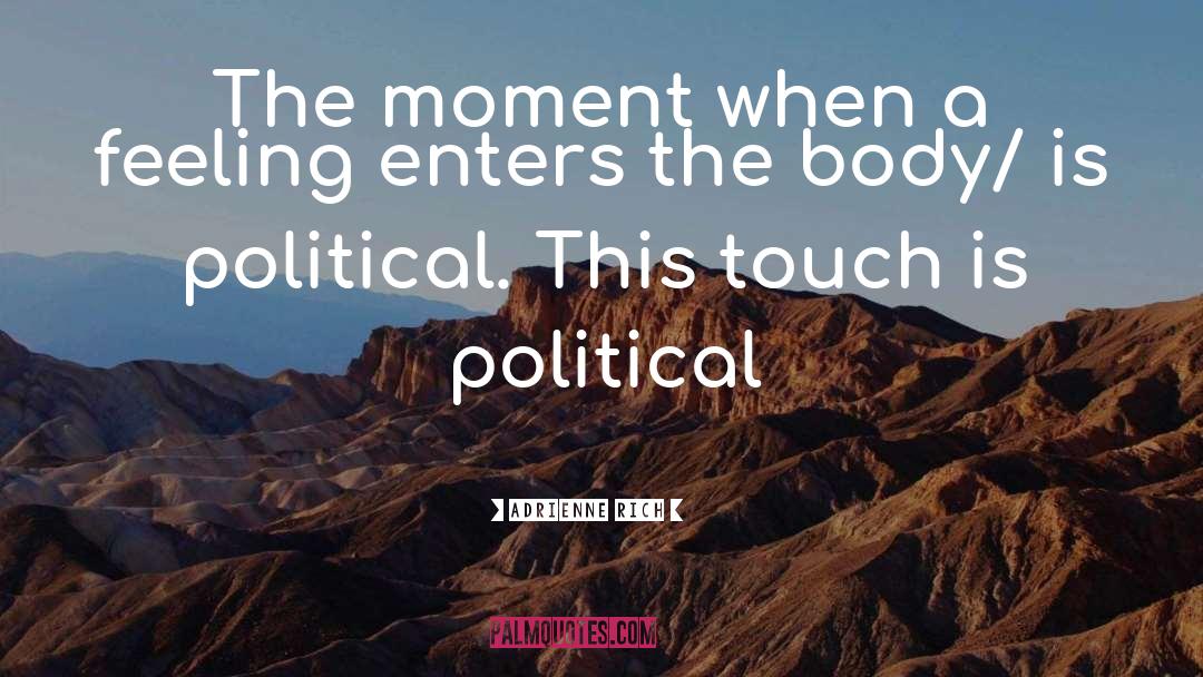 Political Scheming quotes by Adrienne Rich