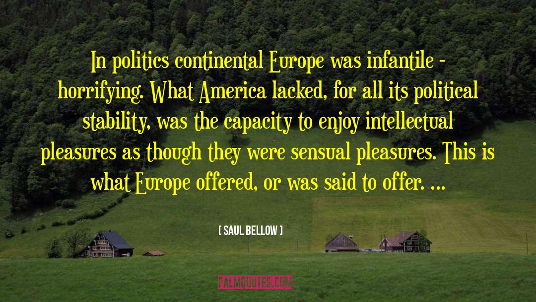 Political Stability quotes by Saul Bellow