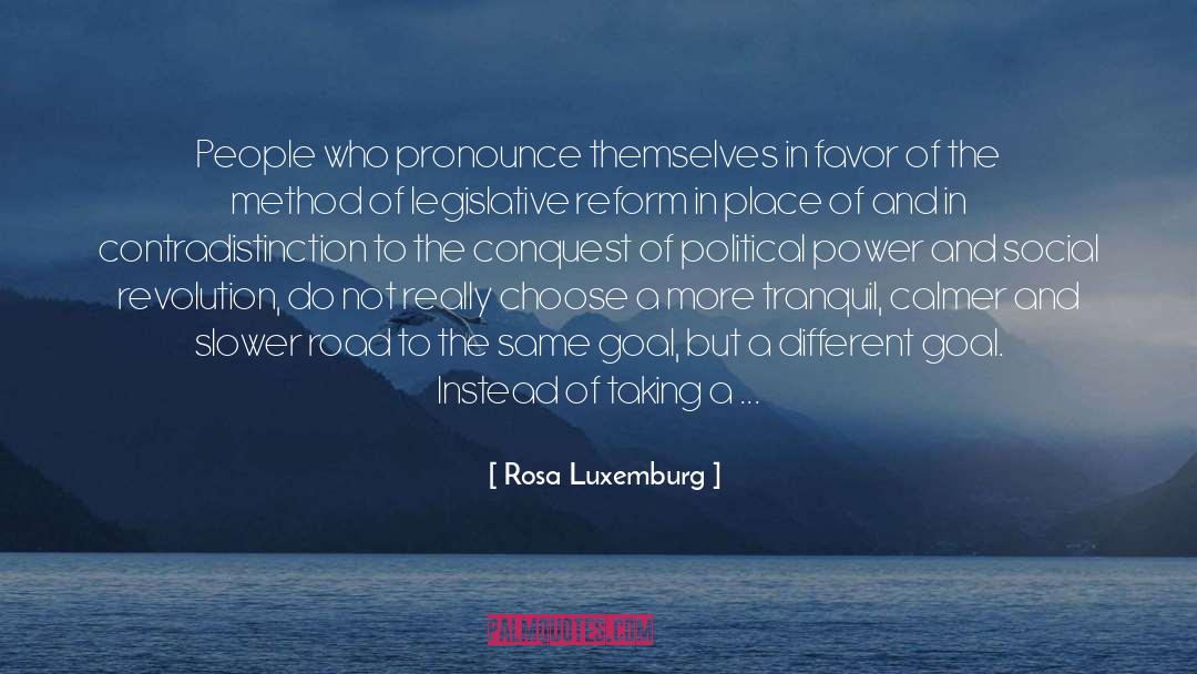 Political Stability quotes by Rosa Luxemburg