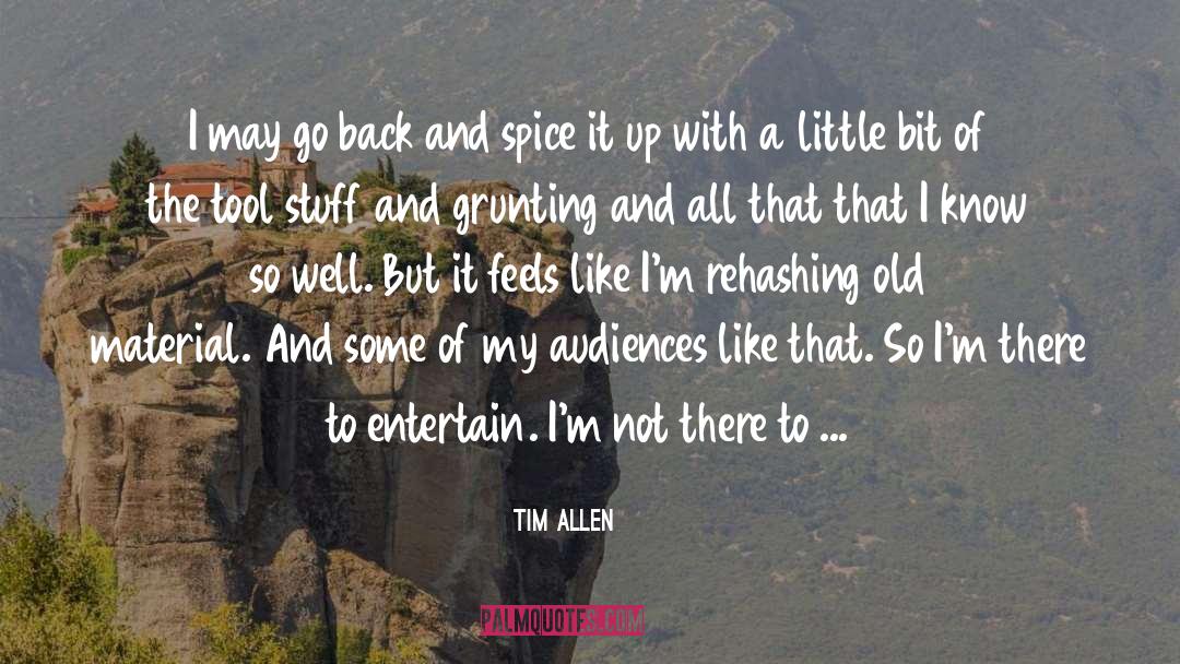 Political Statement quotes by Tim Allen