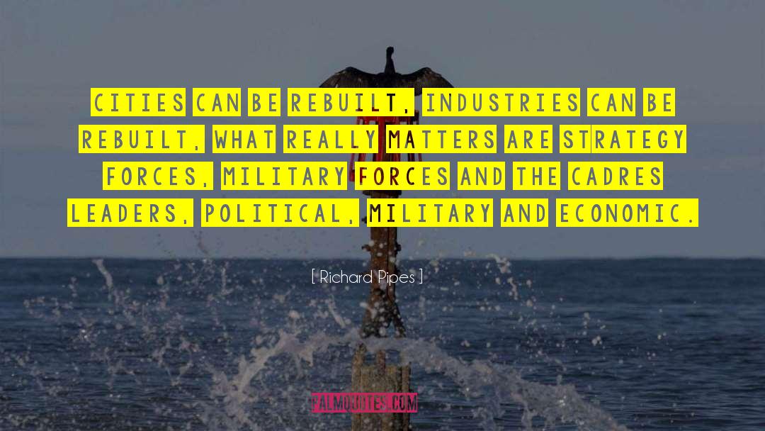 Political Strategy quotes by Richard Pipes