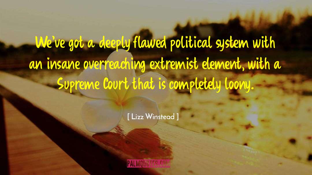 Political Systems quotes by Lizz Winstead