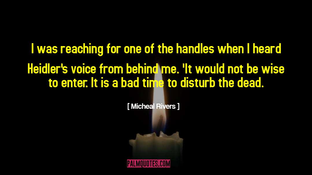 Political Thriller quotes by Micheal Rivers