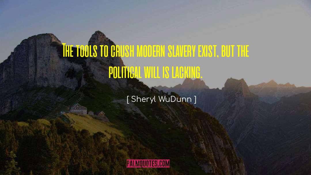 Political Will quotes by Sheryl WuDunn