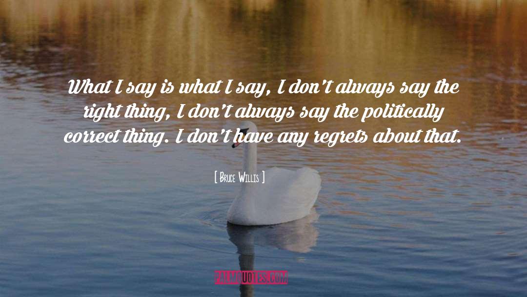 Politically Correct quotes by Bruce Willis
