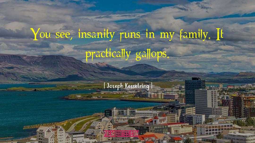 Politics Insanity quotes by Joseph Kesselring