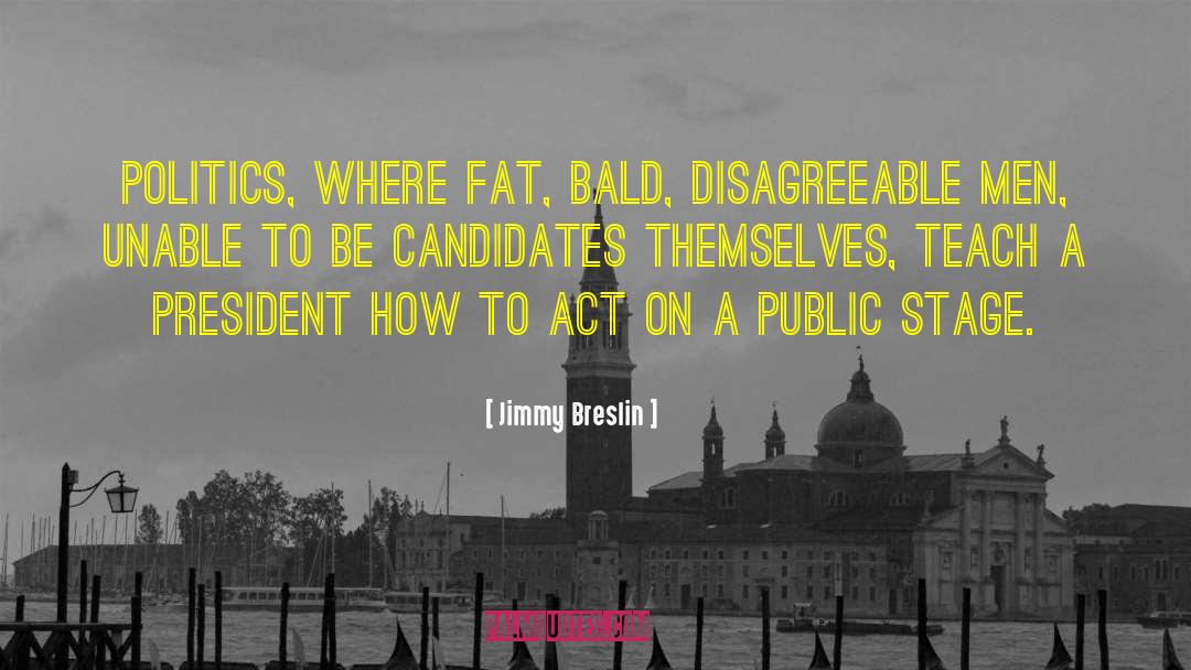 Politics Insanity quotes by Jimmy Breslin