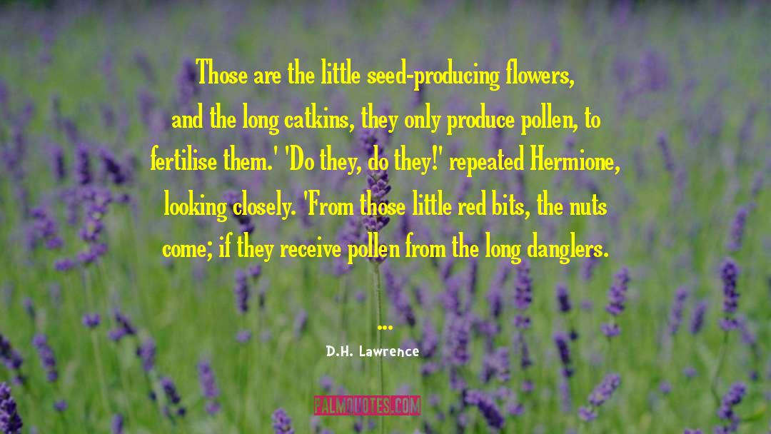 Pollen quotes by D.H. Lawrence