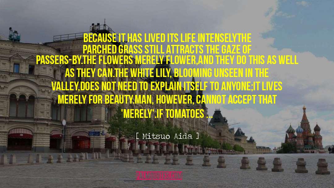 Pollinating Tomatoes quotes by Mitsuo Aida