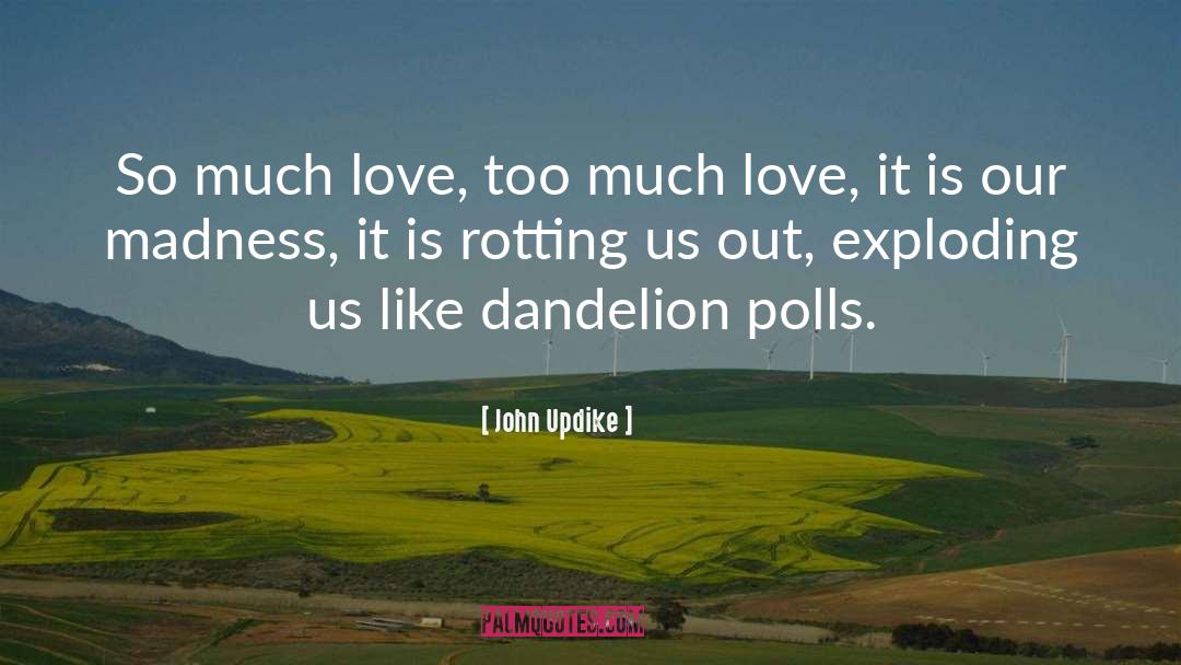 Polls quotes by John Updike