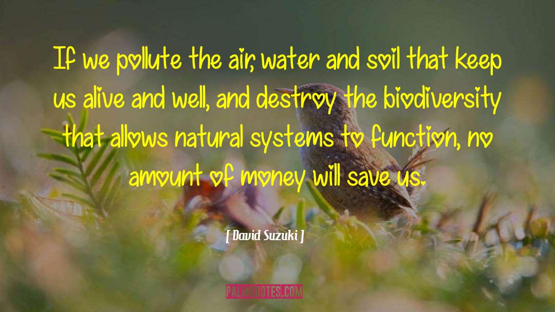 Pollute quotes by David Suzuki