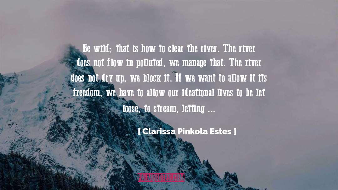 Polluted quotes by Clarissa Pinkola Estes