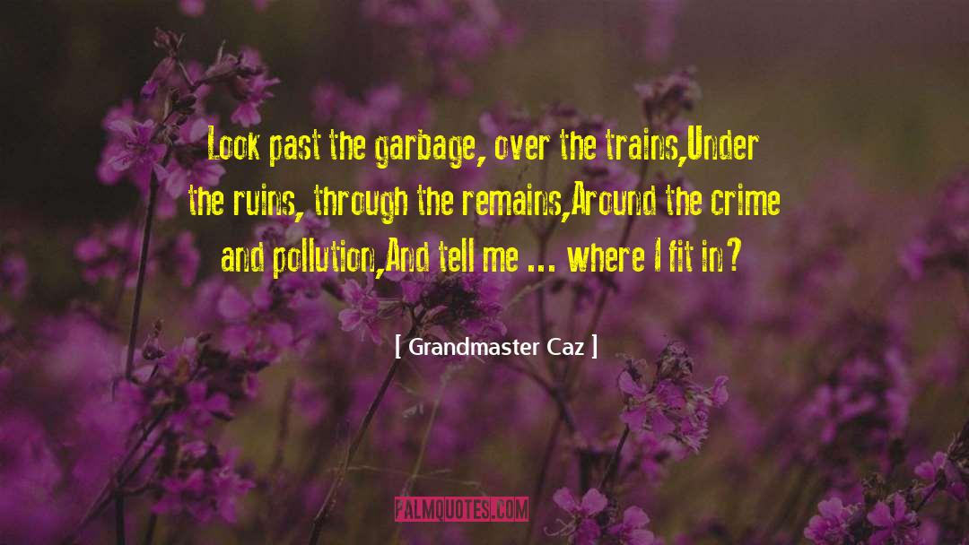 Pollution quotes by Grandmaster Caz