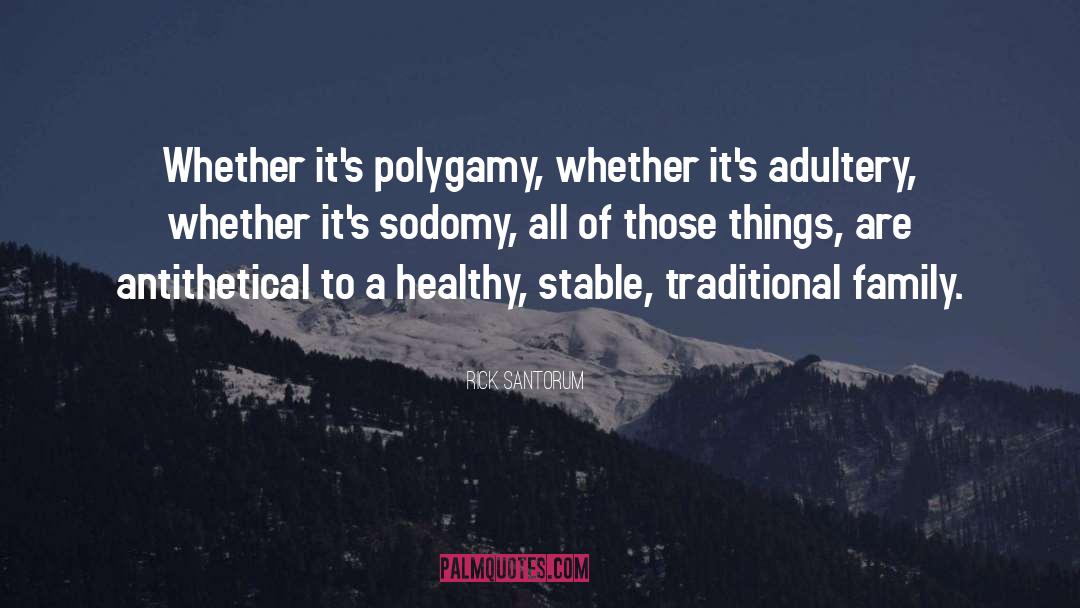 Polygamy quotes by Rick Santorum