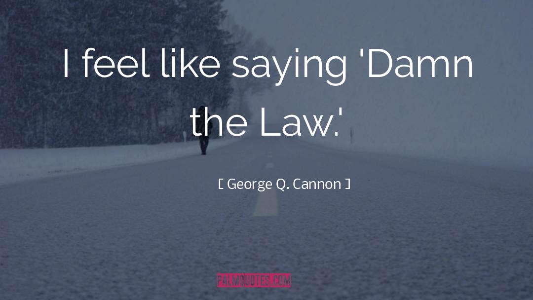 Polygamy quotes by George Q. Cannon