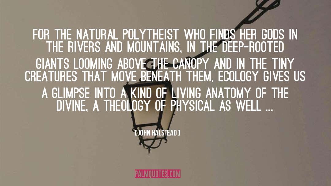 Polytheism quotes by John Halstead