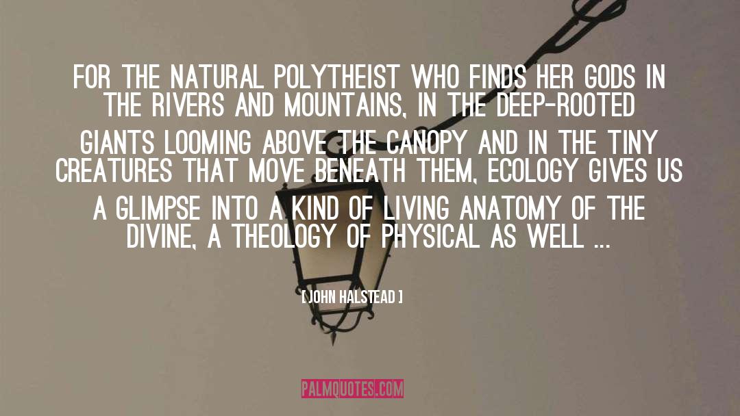 Polytheism Vs Monotheism quotes by John Halstead