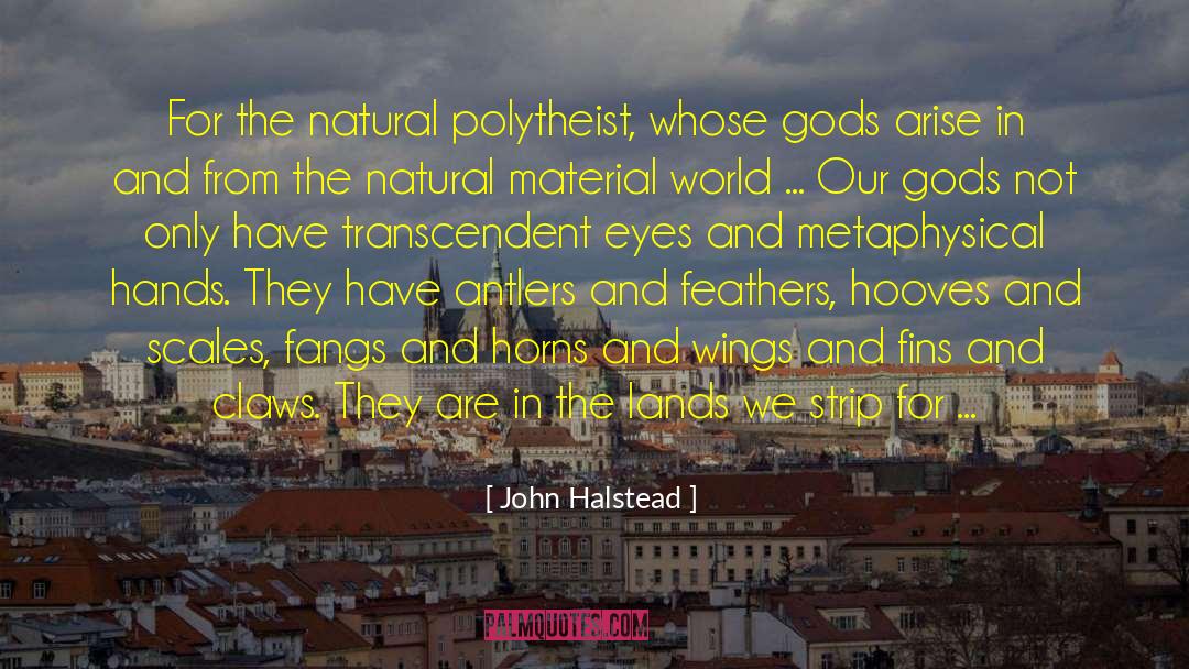Polytheism Vs Monotheism quotes by John Halstead