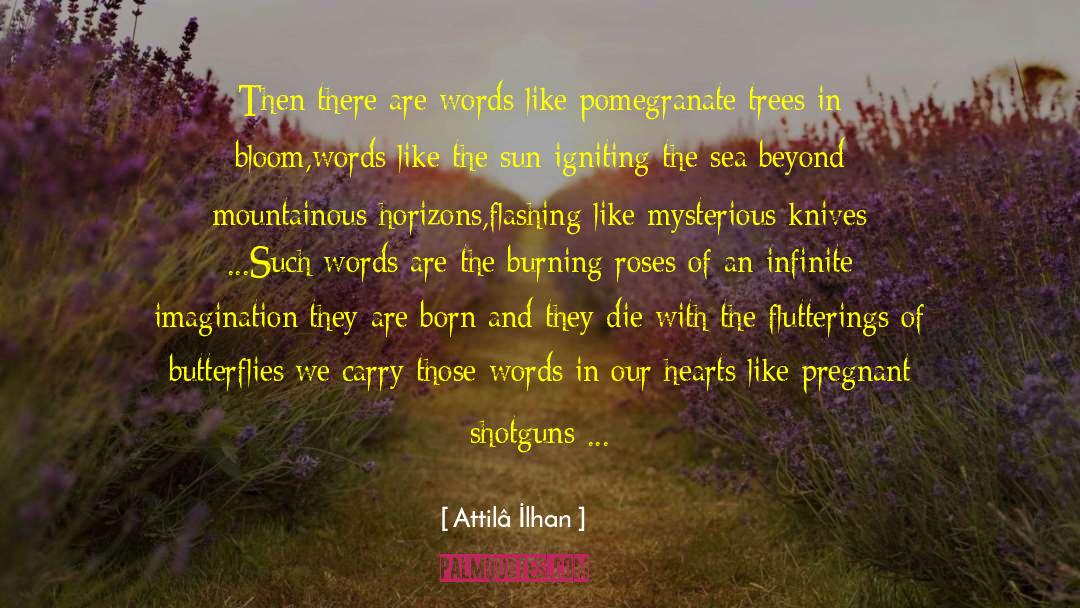 Pomegranate quotes by Attilâ İlhan