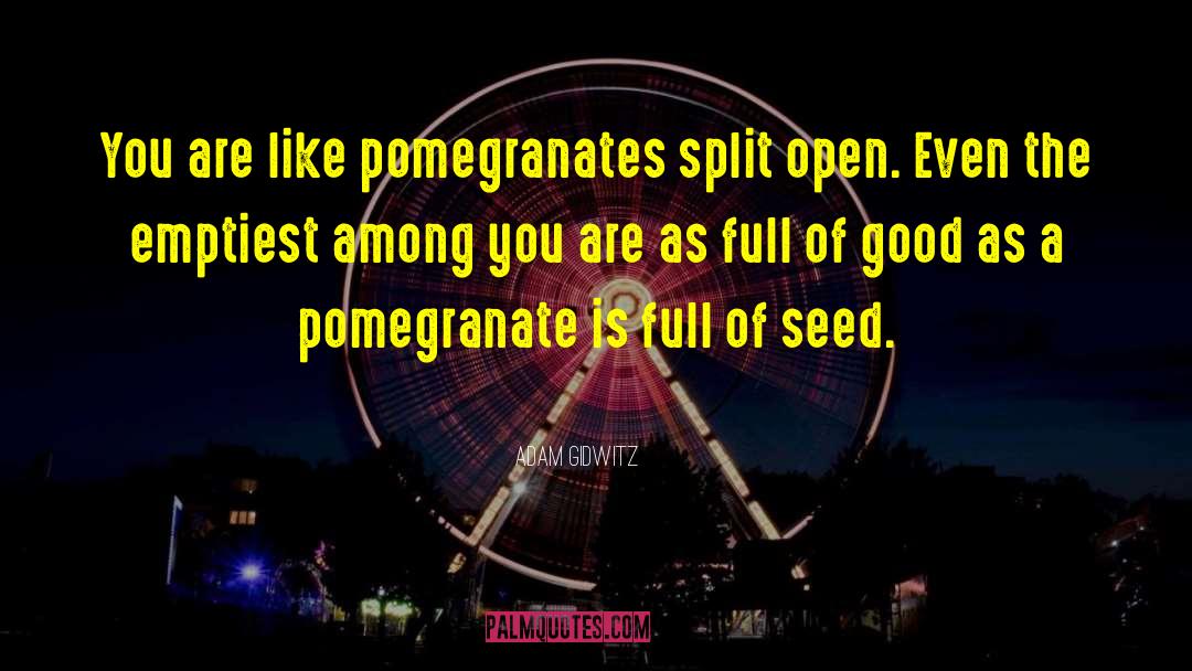 Pomegranate quotes by Adam Gidwitz