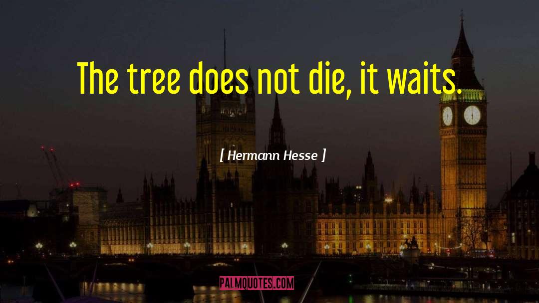 Pomegranate Tree Kite Runner quotes by Hermann Hesse