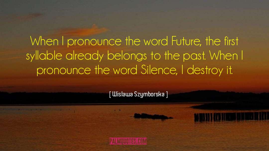 Pomposity Pronounce quotes by Wislawa Szymborska