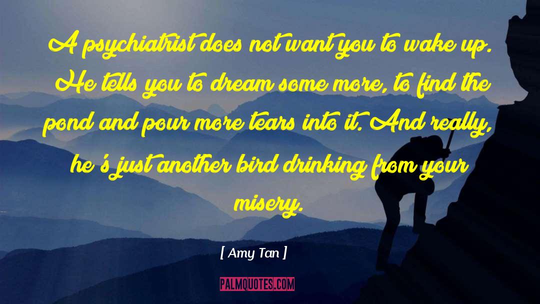 Pond quotes by Amy Tan