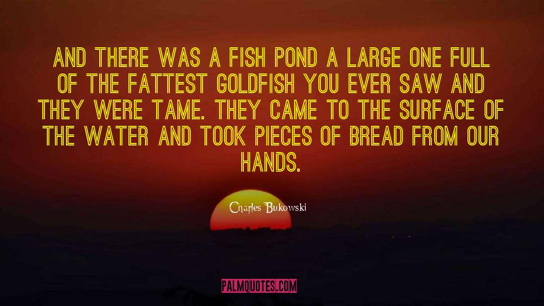 Pond quotes by Charles Bukowski