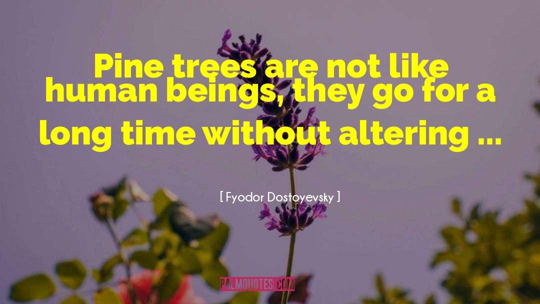 Ponderosa Pine Trees quotes by Fyodor Dostoyevsky