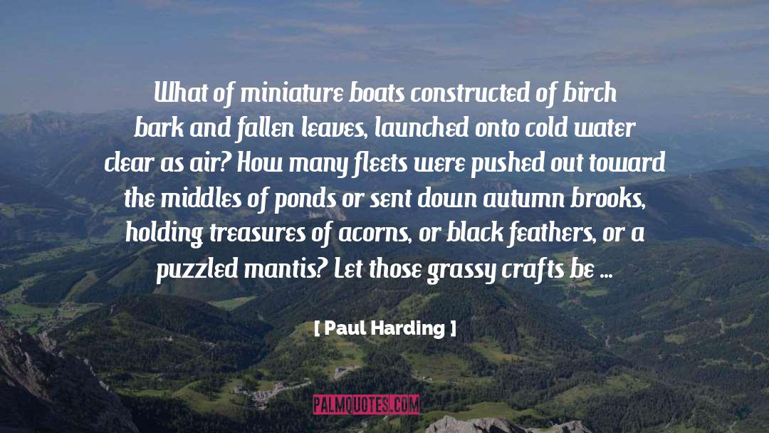 Ponds quotes by Paul Harding