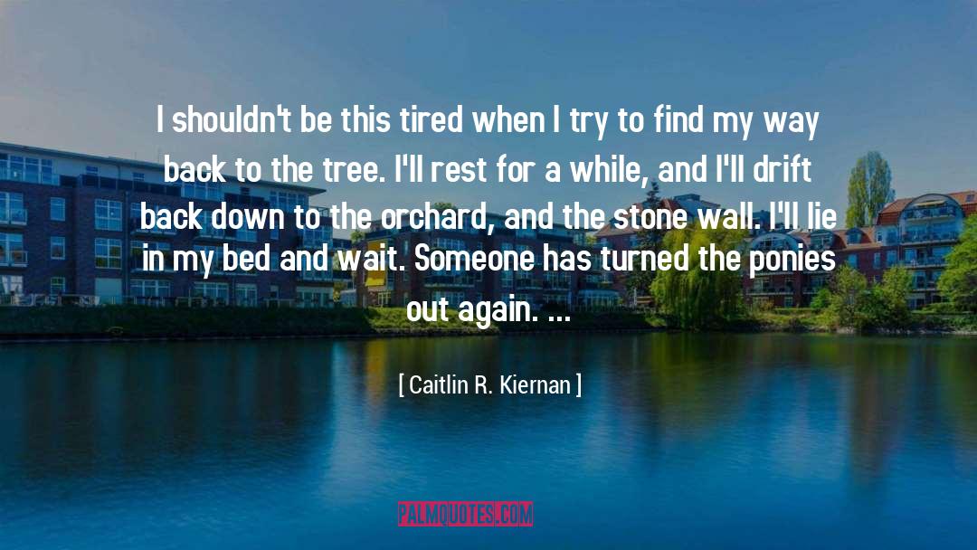 Ponies quotes by Caitlin R. Kiernan