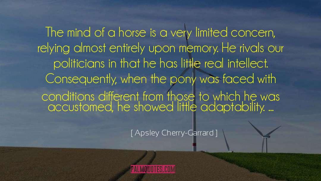 Ponies quotes by Apsley Cherry-Garrard