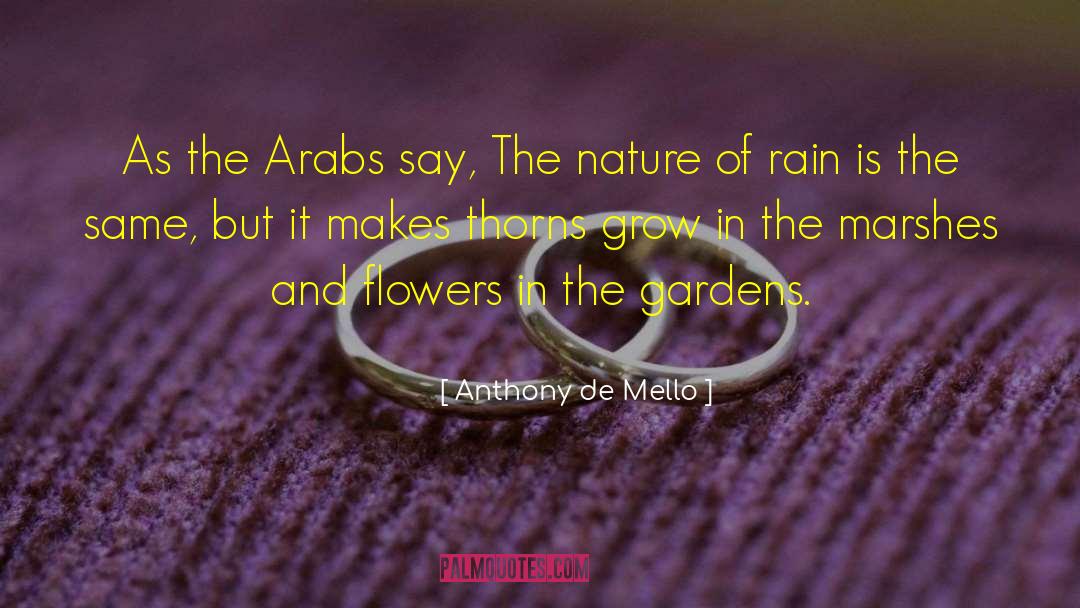 Pontarddulais Garden quotes by Anthony De Mello