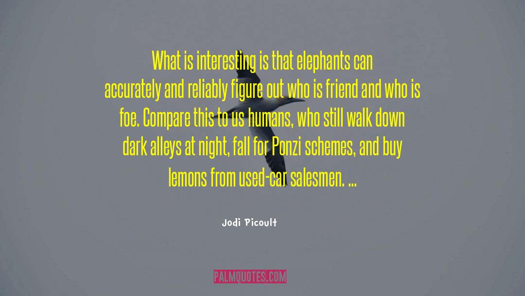 Ponzi Schemes quotes by Jodi Picoult