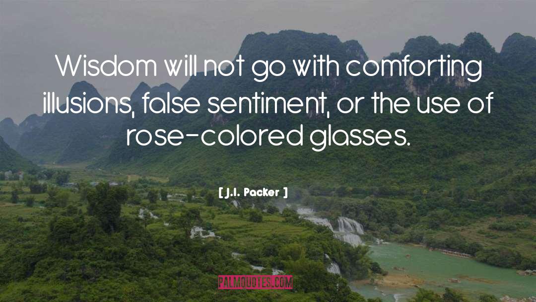 Ponzo Illusions quotes by J.I. Packer