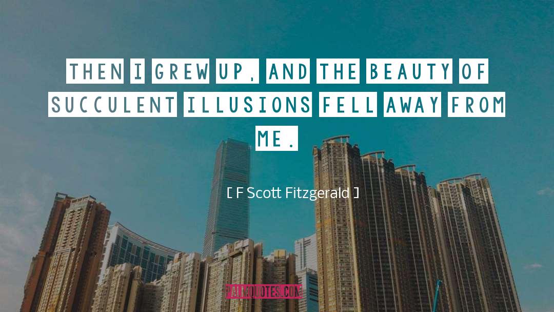 Ponzo Illusions quotes by F Scott Fitzgerald