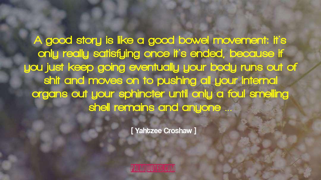 Poo quotes by Yahtzee Croshaw