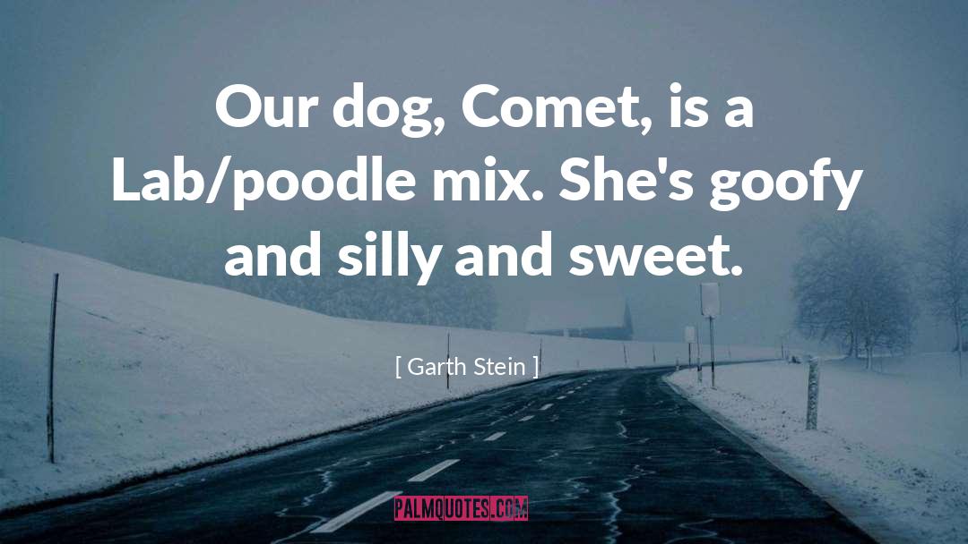 Poodle quotes by Garth Stein